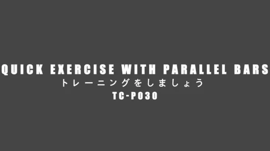 Силовое оборудование для фитнеса Тренажерный зал DIP-штанга-стабилизатор Parallette Push Up Stand030